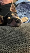 Kiko