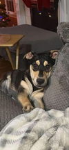 Kiko