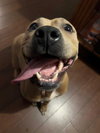Beige - Photo 6