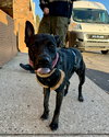 Janey - Photo 3