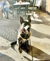 Janey - Photo 1