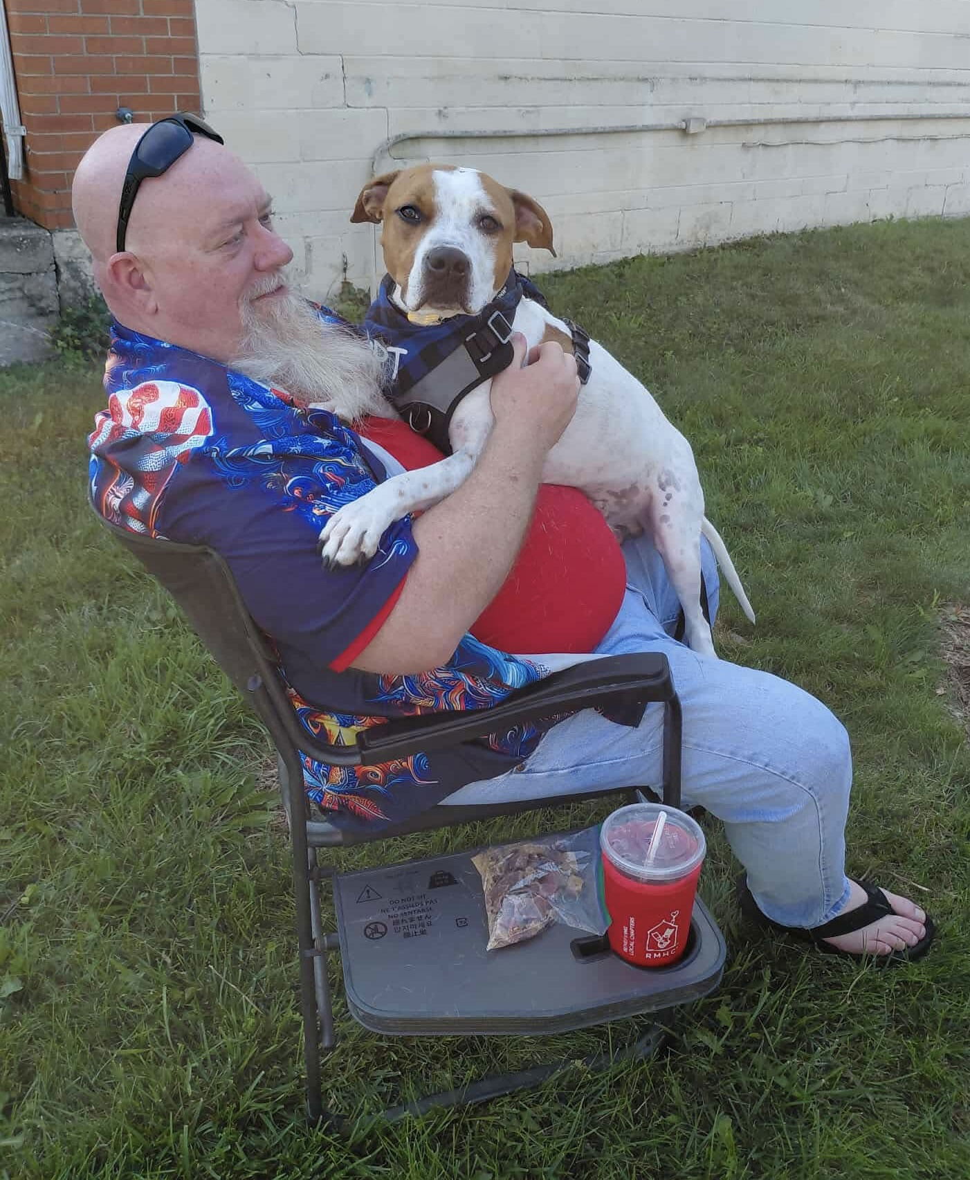 adoptable Dog in Germantown, OH named Scottie