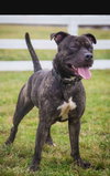 Walter - Photo 14