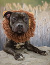 Walter - Photo 15