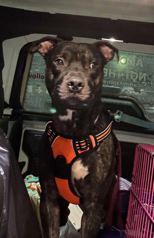 Walter