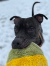 Walter - Photo 11