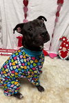 Walter - Photo 10