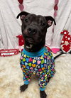 Walter - Photo 9