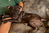 Walter - Photo 7