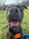 Walter - Photo 5