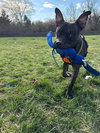 Walter - Photo 8