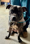 Walter - Photo 1