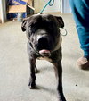 Walter - Photo 2