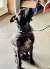 Walter - Photo 3