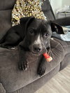 Gunther - Photo 4