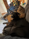 Gunther - Photo 5