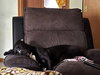 Gunther - Photo 2