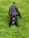 Gunther - Photo 1