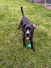 Gunther - Photo 2