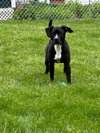 Gunther - Photo 3