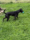 Gunther - Photo 4