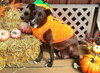 Stacy - Photo 11