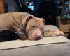 Mufasa - Photo 7