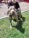 Mufasa - Photo 5