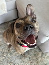 Willy - Photo 2