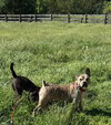 Willy - Photo 2