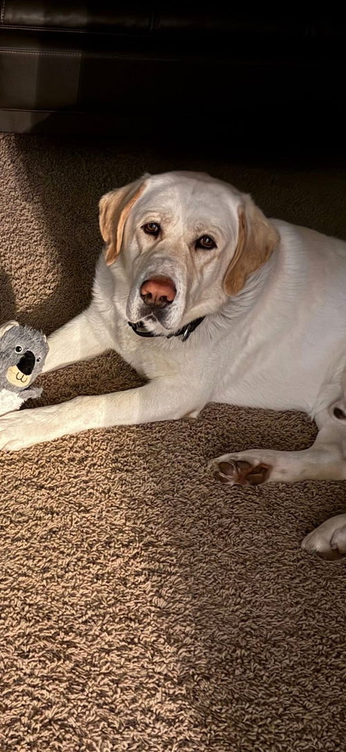 Ben