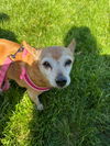 Edith
