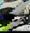 Cliff