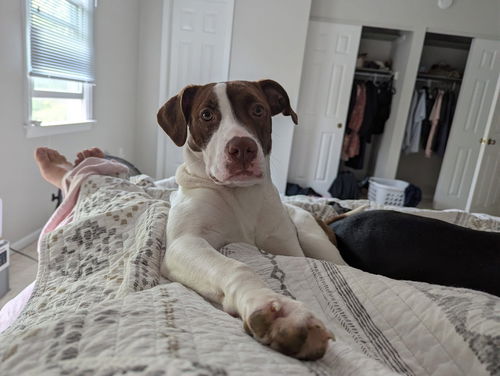 Ruby Lucille