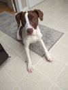 Ruby Lucille