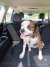 Amos - Photo 11