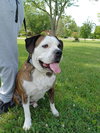Amos - Photo 12