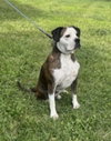 Amos - Photo 4