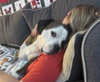 Amos - Photo 5