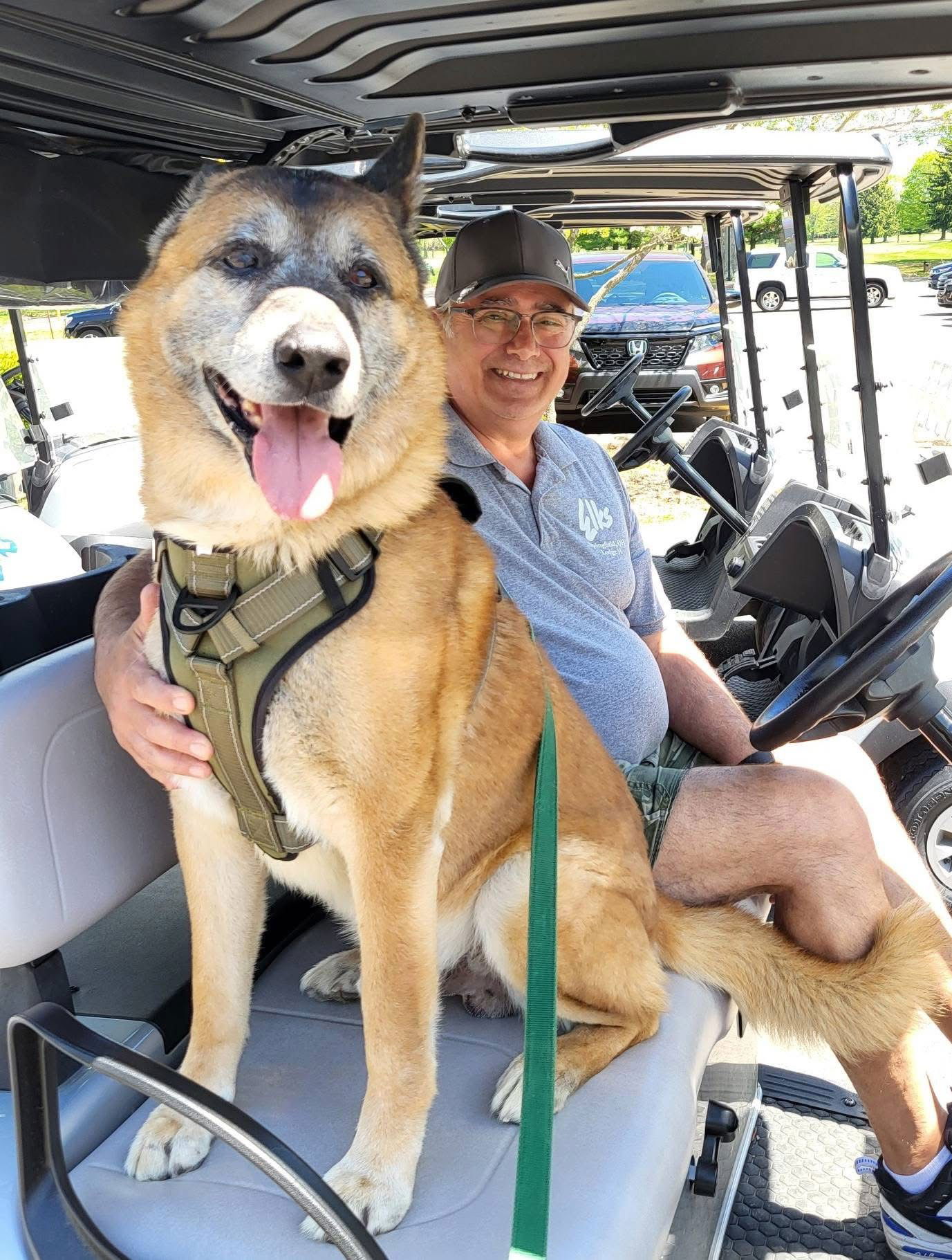 adoptable Dog in Germantown, OH named Gyro