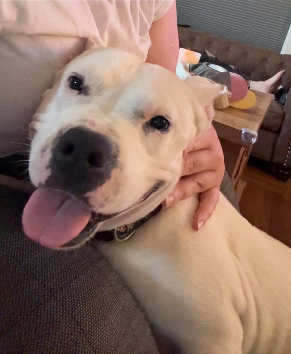 Princess Brisket Image