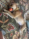 Maisy West - Photo 5