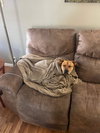 Maisy West - Photo 2