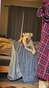 Fury - Photo 2