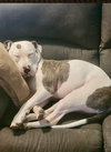 Fury - Photo 4