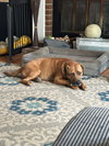 Wyatt Derp - Photo 5