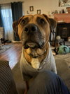 Wyatt Derp - Photo 2