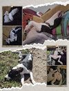 Dotty - Photo 19