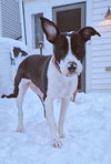 Dotty - Photo 15