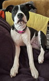 Dotty - Photo 13
